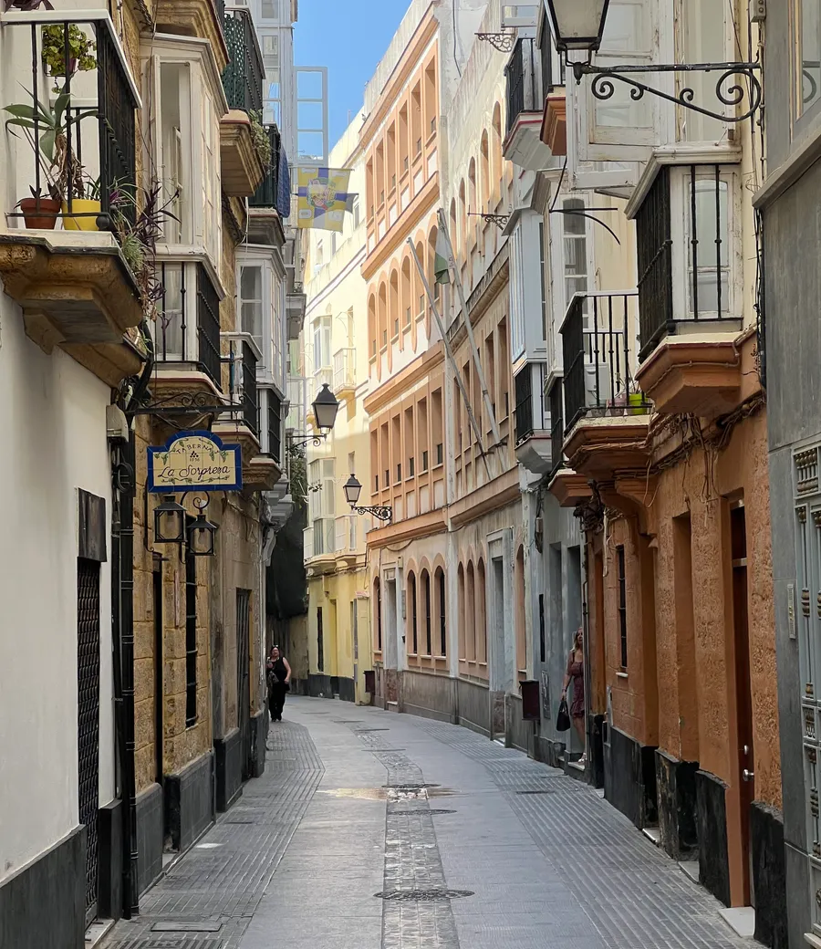 Asesor revisando la documentación de una empresa de Cádiz